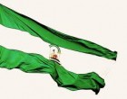 ANDALUCÍA. ADJUDICACIÓN DEFINITIVA DESTINOS PROVISIONALES CUERPO DE MAESTROS CURSO 2014/15