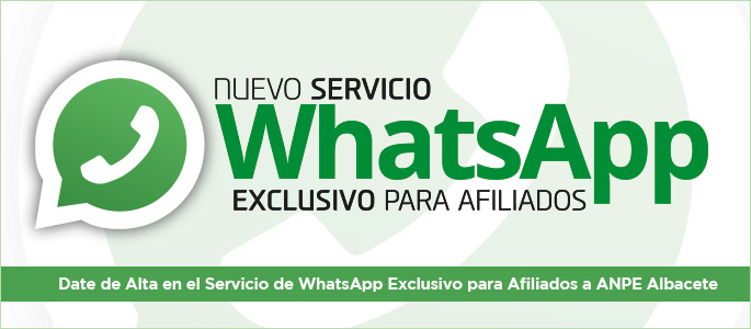 cabecera-whatsapp