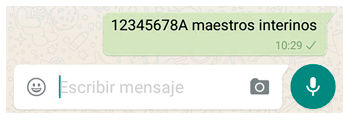 ejemplo-whatsapp